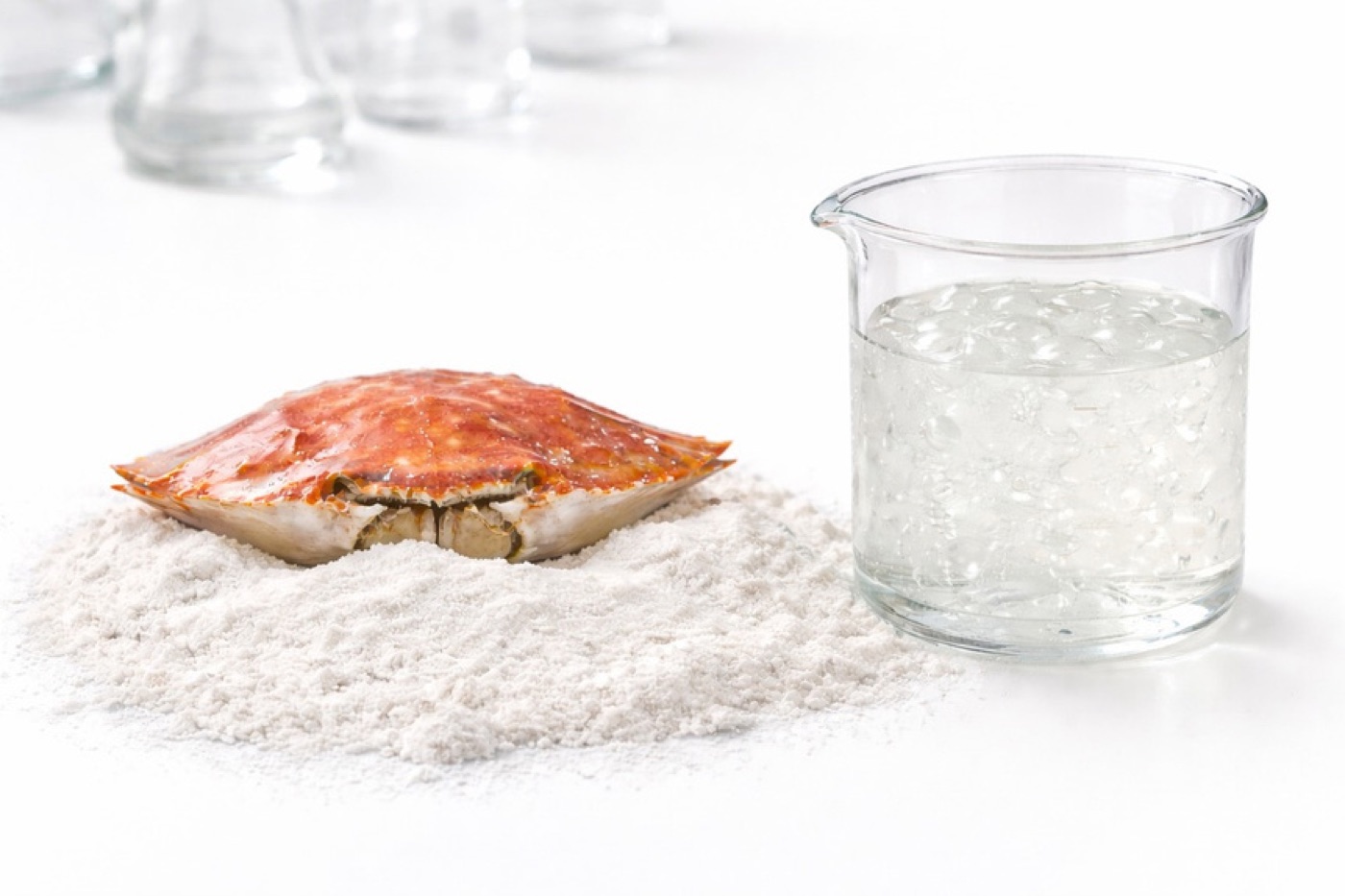 Chitosane issu de carapaces de crabe